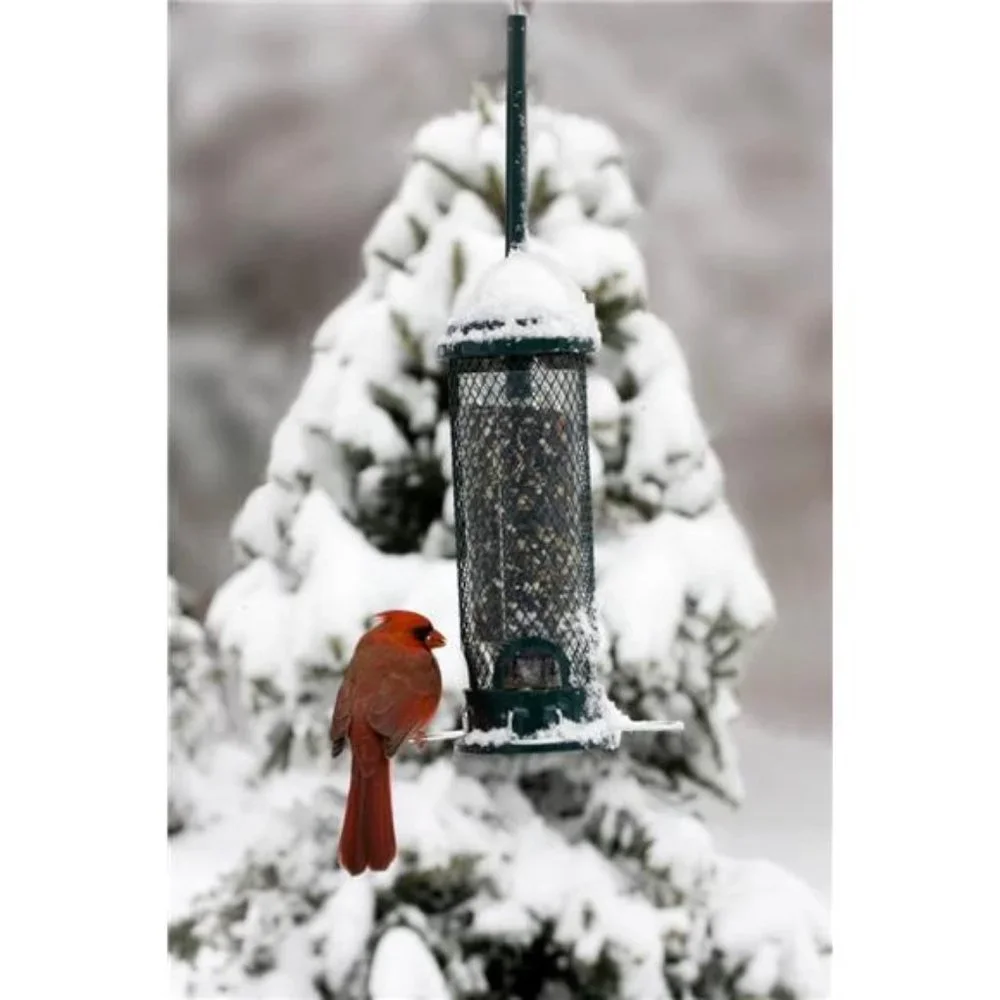 Squirrel Buster Mini Squirrel-proof Bird Feeder w/4Metal Perches,0.98-pound Seed
